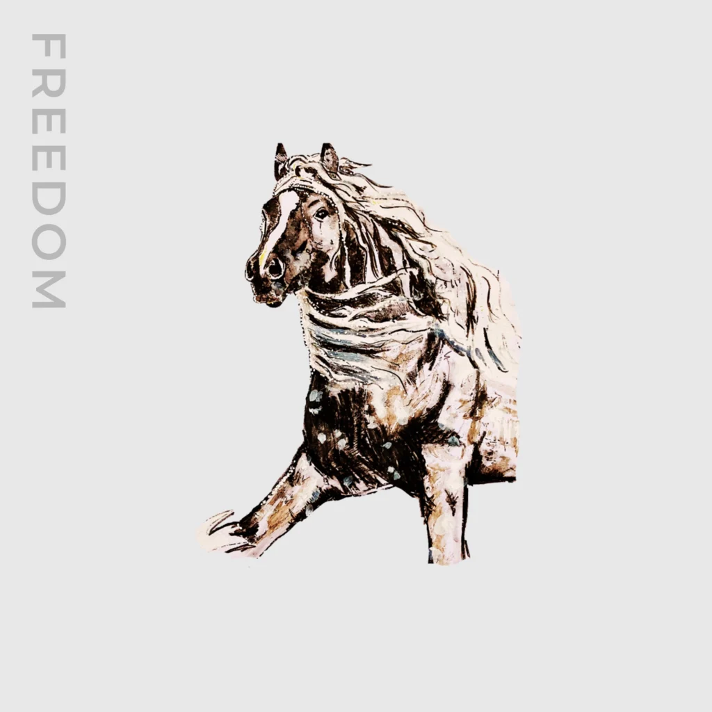 A few words about Freedom